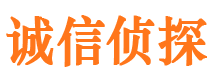 静乐侦探公司